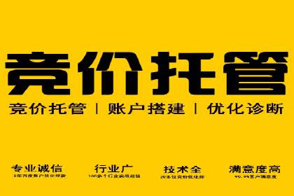 案例分析：SEM如何助力企业增长